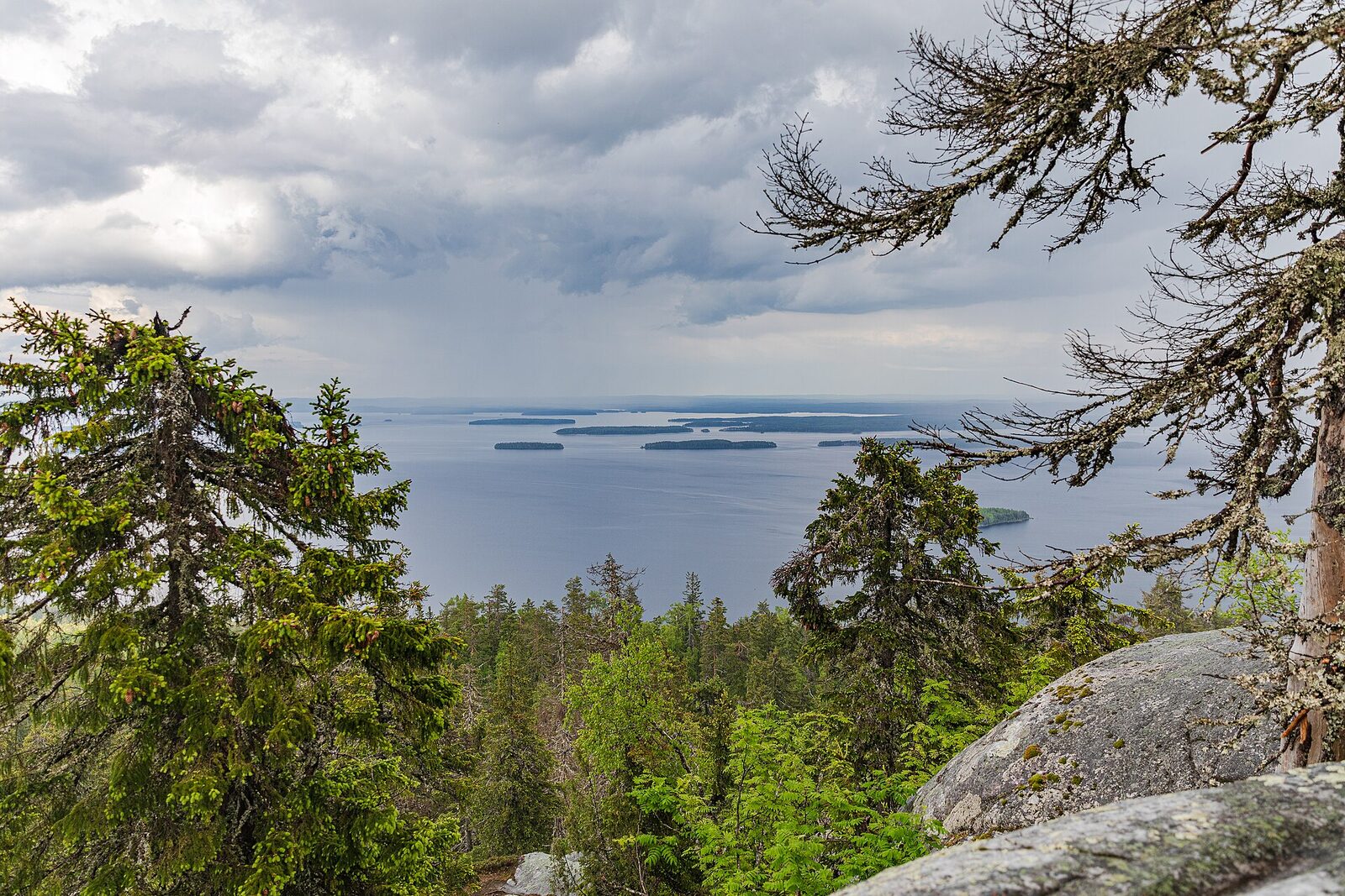 Výhled z Ukko-Koli na jezero Pielinen