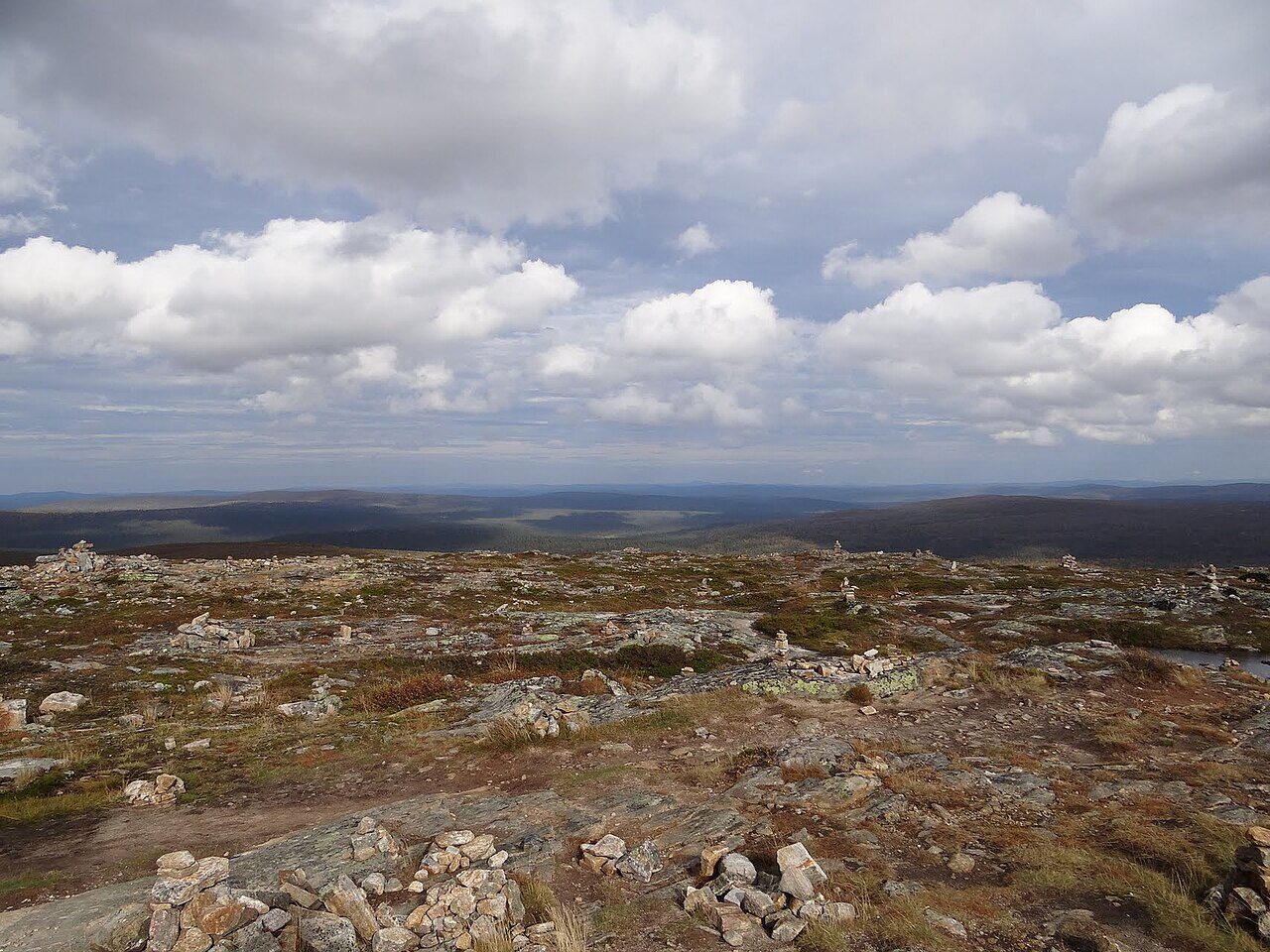 Holé kopce fjelly u Kiilopää v Saariselkä