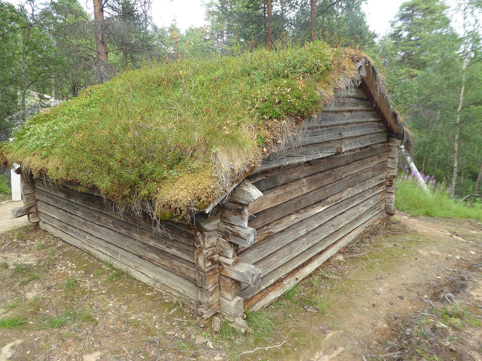 Sámská drnová chýše ve skanzenu muzea Siida